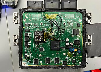 AKC TECH photo AKC TECH