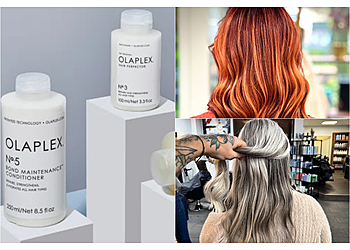 Abschnittsgefährten image Abschnittsgefährten