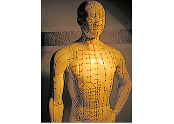 Akupunkturpraxis Lübeck photo Akupunkturpraxis Lübeck