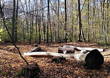 Allacher Lohe, Natur & Landschaftsschutzgebiet photo Allacher Lohe, Natur & Landschaftsschutzgebiet