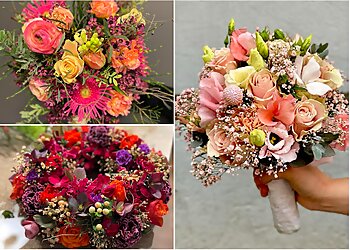 AlphaFlor image AlphaFlor