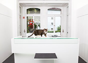 AniCura Kleintierspezialisten Karlsruhe GmbH photo AniCura Kleintierspezialisten Karlsruhe GmbH