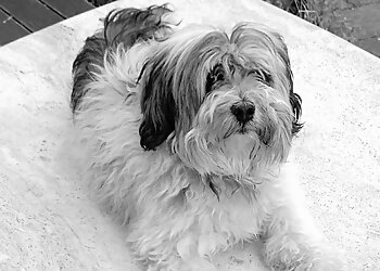 AniCura Kleintierspezialisten Karlsruhe GmbH image AniCura Kleintierspezialisten Karlsruhe GmbH