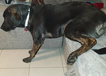 AniCura Kleintierzentrum Ludwigshafen image AniCura Kleintierzentrum Ludwigshafen