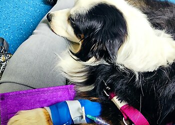 AniCura Potsdam image AniCura Potsdam