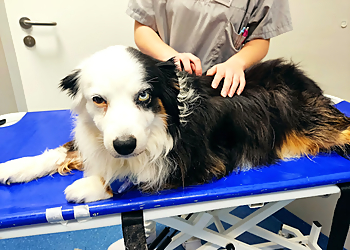 AniCura Potsdam GmbH photo AniCura Potsdam GmbH