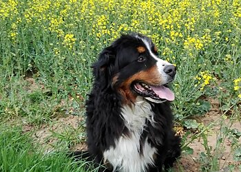 AniCura Tiergesundheitszentrum Kassel image AniCura Tiergesundheitszentrum Kassel