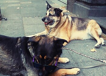 AniCura Tierärztliche Praxis für Kleintiere Krefeld image AniCura Tierärztliche Praxis für Kleintiere Krefeld