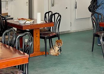 Asia Wok Express image Asia Wok Express