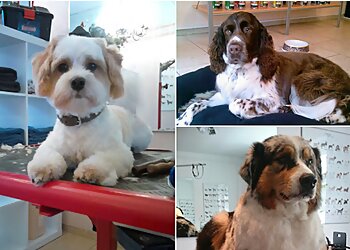 BLACK & WHITE Dogs Coiffeur and More image BLACK & WHITE Dogs Coiffeur and More