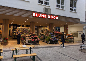 BLUME2000