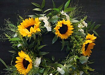 Die 3 besten Blumenläden in Ludwigshafen Am Rhein Expertenempfehlungen