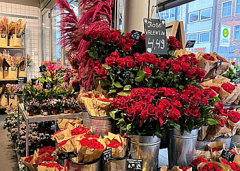 BLUME2000 Lübeck Kohlmarkt photo BLUME2000 Lübeck Kohlmarkt