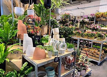 BLUME2000 Lübeck Kohlmarkt image BLUME2000 Lübeck Kohlmarkt