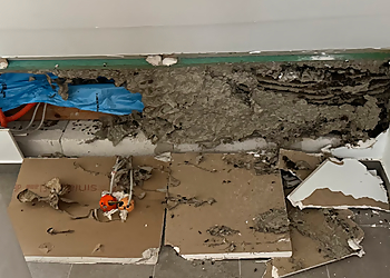 BRUMMER Schädlingsbekämpfung Nürnberg photo BRUMMER Schädlingsbekämpfung Nürnberg