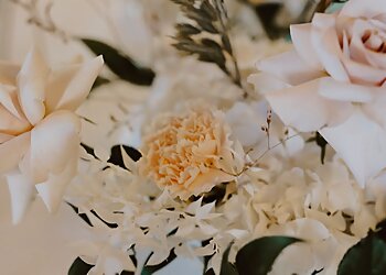 BeLa Event image BeLa Event