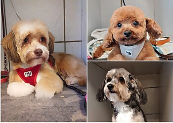 Beates Hundesalon image Beates Hundesalon