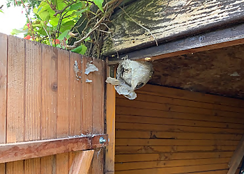 Belter GmbH photo Belter GmbH