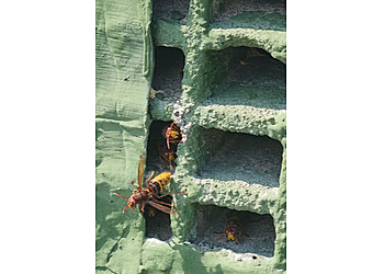 Belter GmbH image Belter GmbH