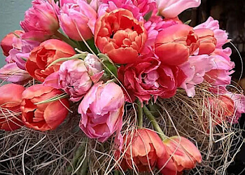 Beyer's Blumeneck image Beyer's Blumeneck