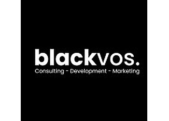 Blackvos Consulting, Development & Marketing