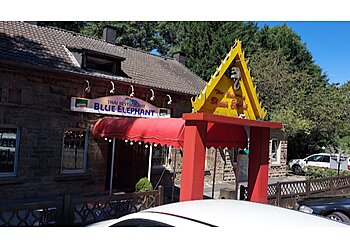 Blue Elephant photo Blue Elephant