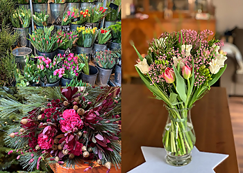 Blume2000 image Blume2000