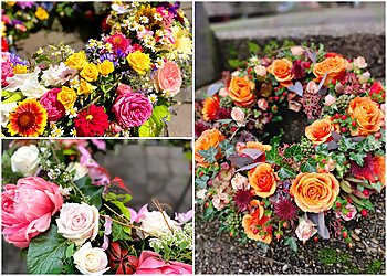 Blumen Becht image Blumen Becht