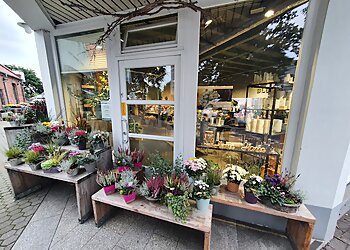 Blumen Cordes photo Blumen Cordes