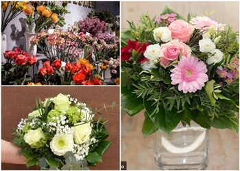 Blumen Cordes image Blumen Cordes