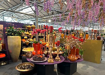 Blumen Dahlmann photo Blumen Dahlmann