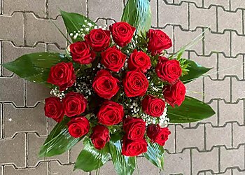 Blumen Deniz Karlsruhe photo Blumen Deniz Karlsruhe