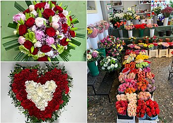 Blumen Deniz Karlsruhe image Blumen Deniz Karlsruhe