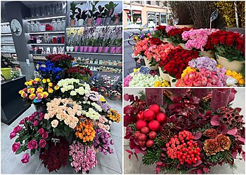 Blumen Dilek image Blumen Dilek