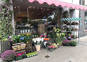 Blumen Dreyer photo Blumen Dreyer