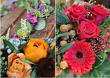 Blumen Dreyer image Blumen Dreyer