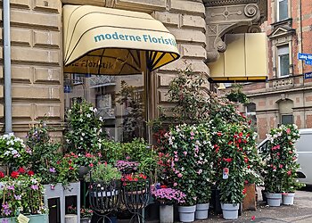 Blumen Dürr photo Blumen Dürr