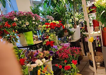 Blumen Dürr image Blumen Dürr