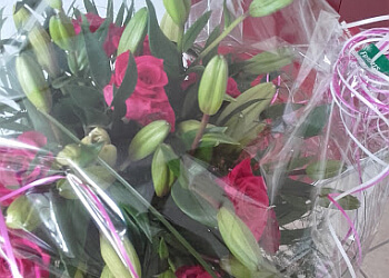 Blumen Femers GmbH & Co. KG photo Blumen Femers GmbH & Co. KG