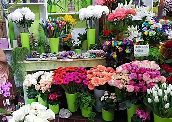 Blumen Fuchs image Blumen Fuchs