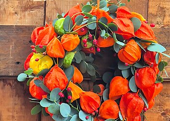 Blumen Gerarts image Blumen Gerarts