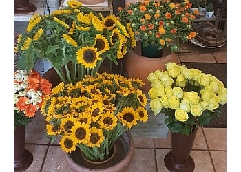 Blumen Gierling image Blumen Gierling