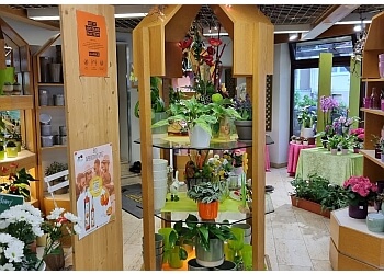 Blumen Gödecke image Blumen Gödecke