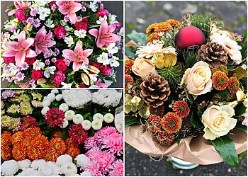 Blumen Hegemann UG image Blumen Hegemann UG