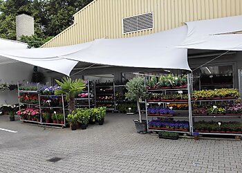 Blumen Hermann Nies photo Blumen Hermann Nies