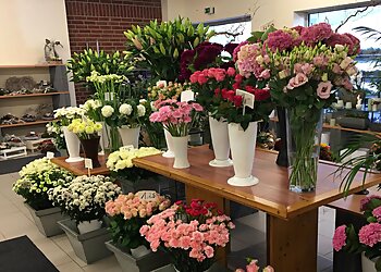 Blumen Hermann Nies image Blumen Hermann Nies