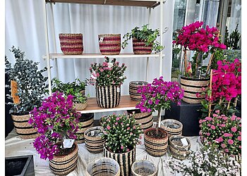 Blumen Hertneck image Blumen Hertneck