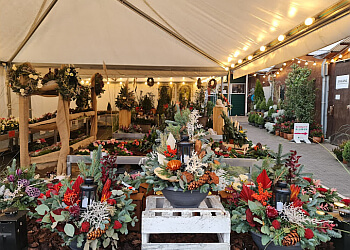 Blumen Hoffmann GBR photo Blumen Hoffmann GBR