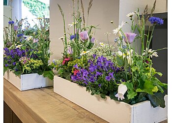 Blumen Kaimer image Blumen Kaimer