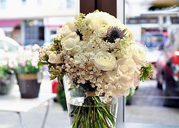 Blumen-Koch Berlin photo Blumen-Koch Berlin